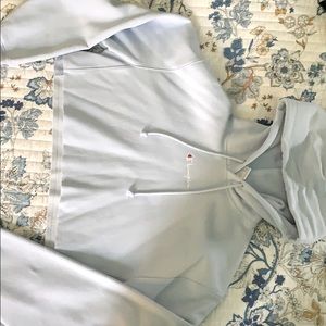 Light Blue Champion cropped hoodie